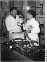 "Im Industrieladen des volkseigenen Fahrzeugbaus, des VEB Simson-Suhl, ist in der Abteilung Fahrrad- und Motorradersatzteile von der Speiche bis zum Fahrradmotor alles vorhanden. (Stalinallee 272-275)." (Januar 1955) Bemerkenswert ist, dass sogar in Berlin die technisch rückständigen Karbidlampen verkauf wurden.