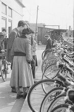 Freiluft-Fahrradverkauf der HO, Dresden 1956. (2)