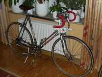 Mit diesem Rahmendekor wurden die Rennräder noch bis Ende der siebziger Jahre ausgeliefert. Hier ein Exemplar von 1977.