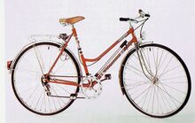 Dazu zählen die vollverchromte Vorderradgabel, der flache Lenkerbügel sowie die Bremshebel. Auf das sonst bei Damenrädern übliche Kleidernetz wurde beim Modell 35 771 verzichtet.