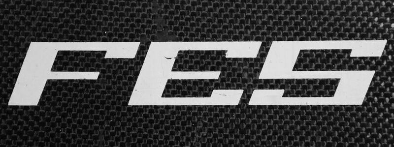 Datei:FES-Logo.jpg