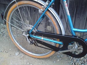 Markante Details der Ausstattung sind die Kettenschaltung sowie der Kettenschutz. Der Rahmen dieses Fahrrads besitzt die für die Gangschaltung sowie die hintere Felgenbremse notwendigen Anlötteile.