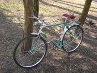 Auch dieses Mifa-Rahmendekor ist eher selten an Sporträdern zu finden, verwendet wurde es etwa zwischen 1971 und 1976.