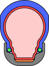 Drahtreifen Drahtreifen besitzen in die Reifenflanken (blau) einvulkanisierte Drahtringe (grün), die kleiner sind als der Außen-Ø der Felge (grau). Zusammen mit dem Luftdruck des Schlauchs (rot) sichern sie den Reifen in der Felge. Der Schlauch wird durch ein Felgenband aus Gummi (orange) vor den Speichennippeln im Felgenbett geschützt. Drahtreifen waren in der DDR die Standardbereifung für alle Touren-, Tourensport-, Sport-, Jugend- und Kinderräder.