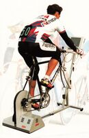 RBM-Recordtrainer (Version 2, 199?) mit starrer Aufhängung des Rahmens